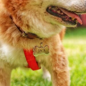 Placa Pet Collection